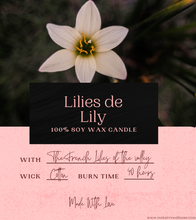 Load image into Gallery viewer, Soy Wax Candles